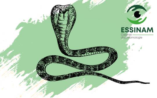 https://mail.essinam.com/uploaded_file/files/img/news/alt